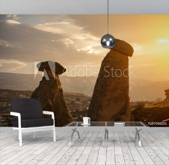 Picture of The Twins fairy chimneys in GoremeUrgup Cappadocia Turkey